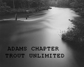 Adams Chapter - Trout Unlimited applauds the Traverse Area Paddle Club for their hard work cleaning rivers in NW Michigan